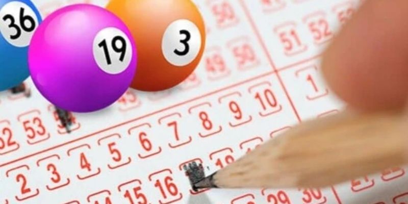 Một số nội dung cần lưu ý khi cá cược tại đây